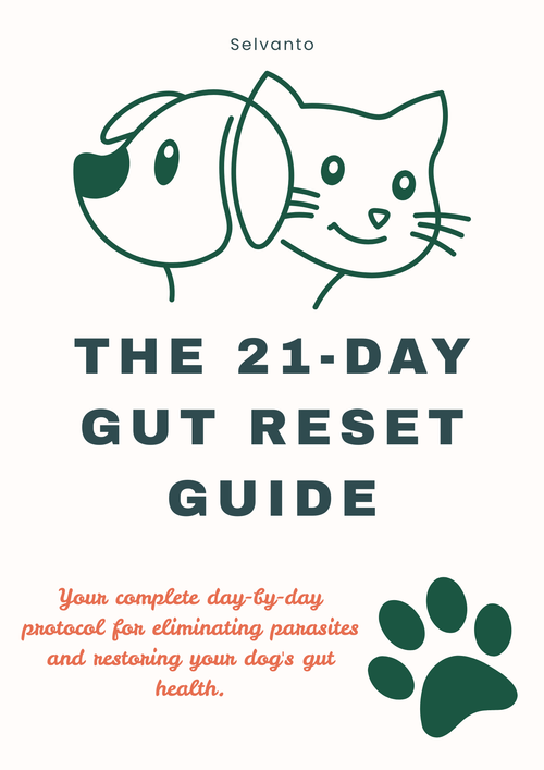 The 21-Day Gut Reset Guide